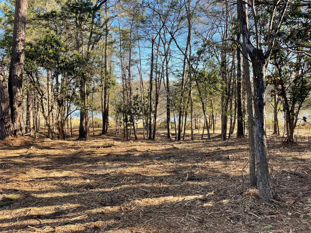 County Road 2200 Mineola, TX 75773