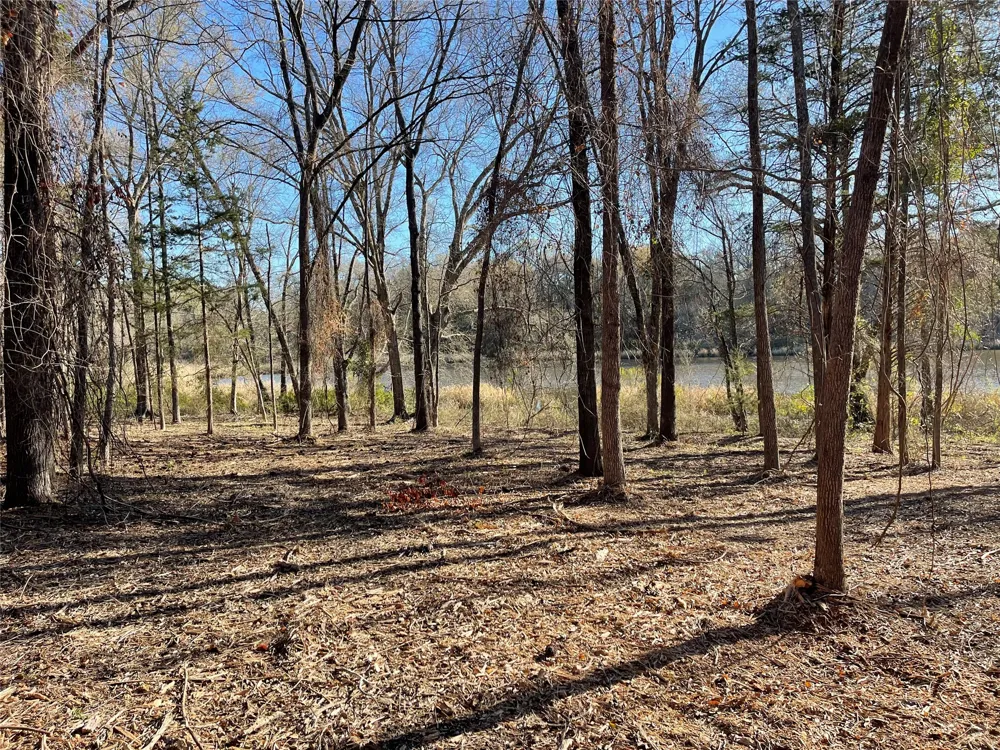 County Road 2200 Mineola, TX 75773