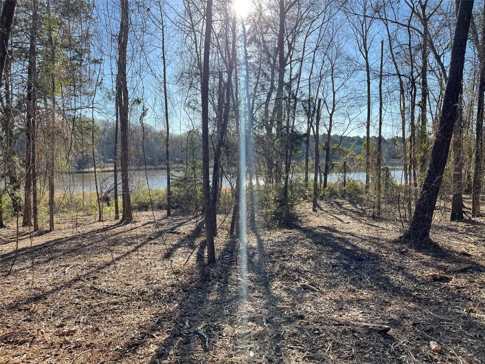 County Road 2200 Mineola, TX 75773