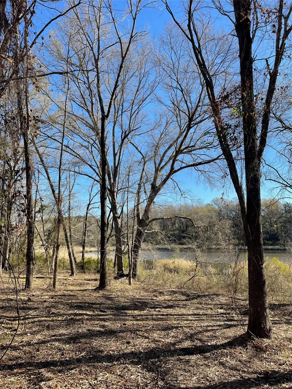 County Road 2200 Mineola, TX 75773