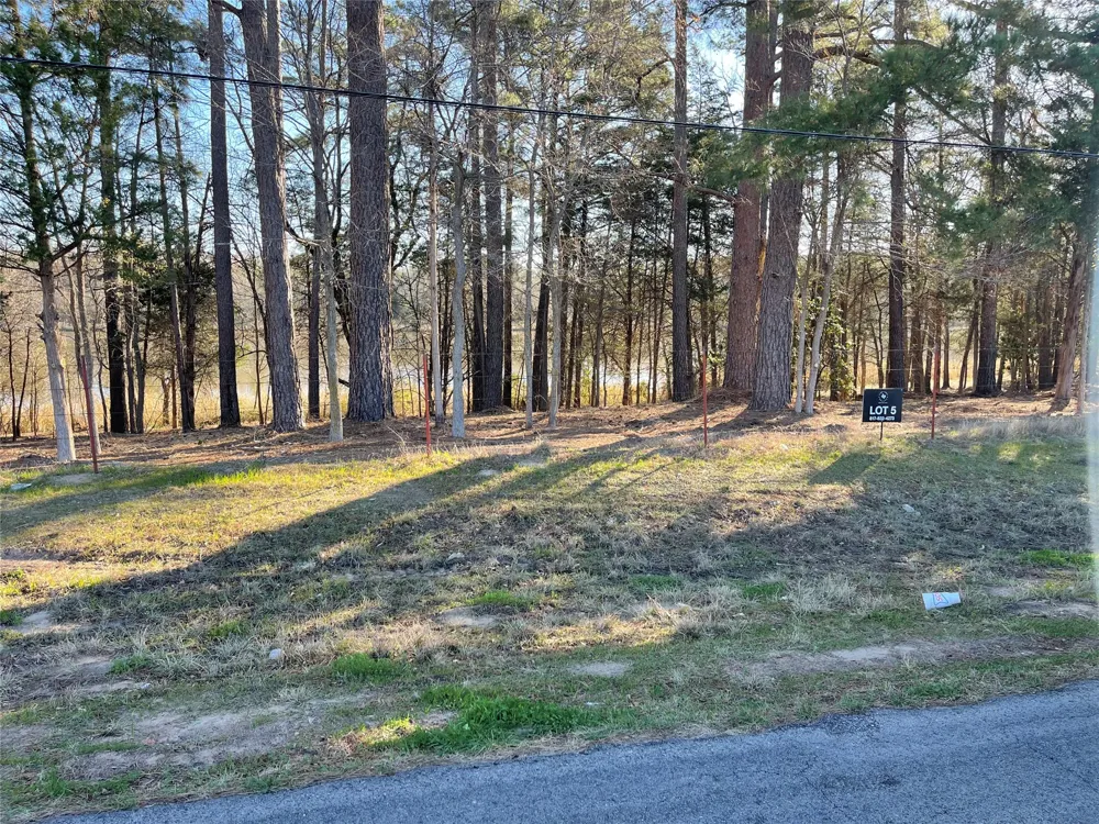County Road 2200 Mineola, TX 75773
