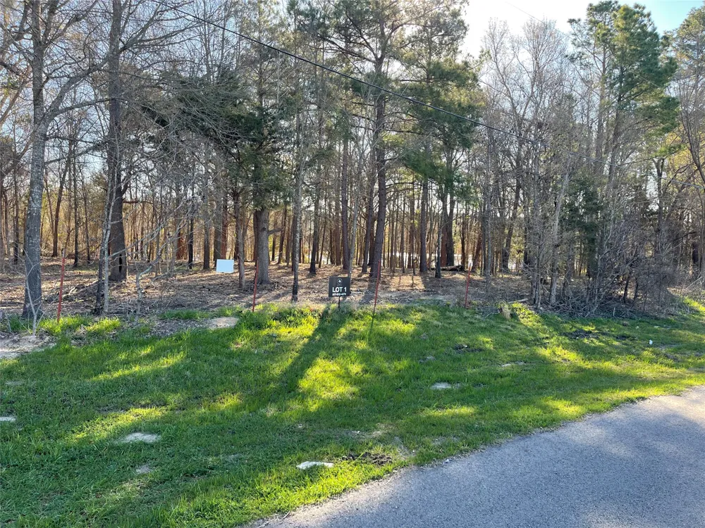 County Road 2200 Mineola, TX 75773