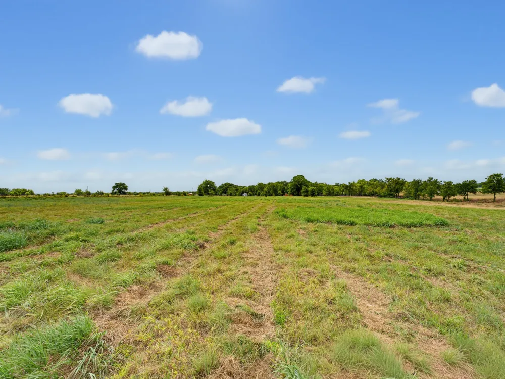 487 County Road 2514 Decatur, TX 76234