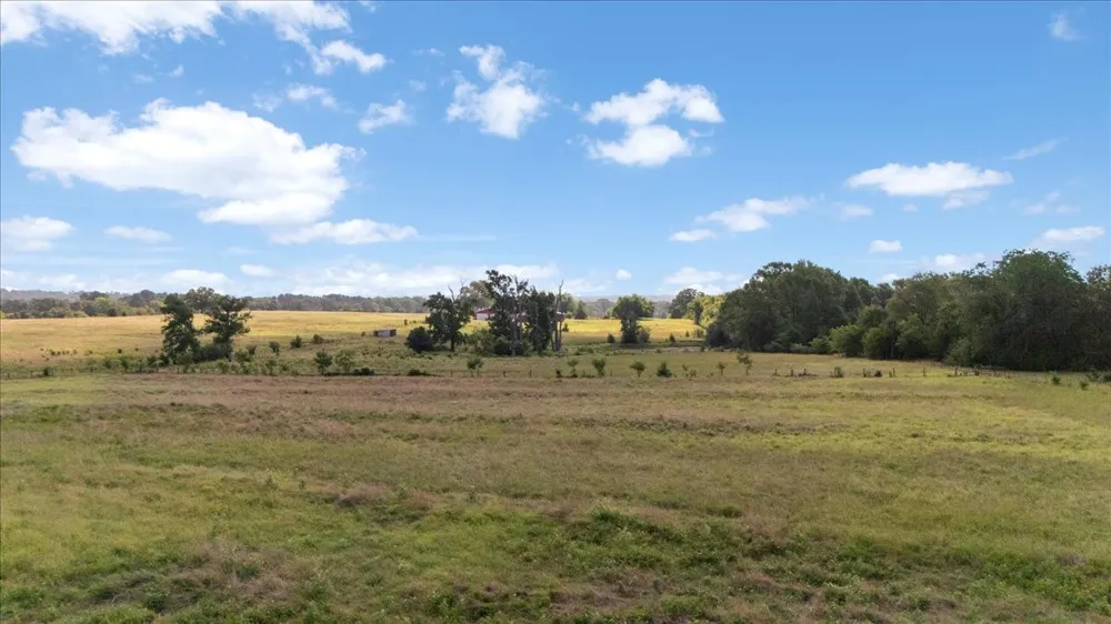 280 Vz County Road 4821 Chandler, TX 75758