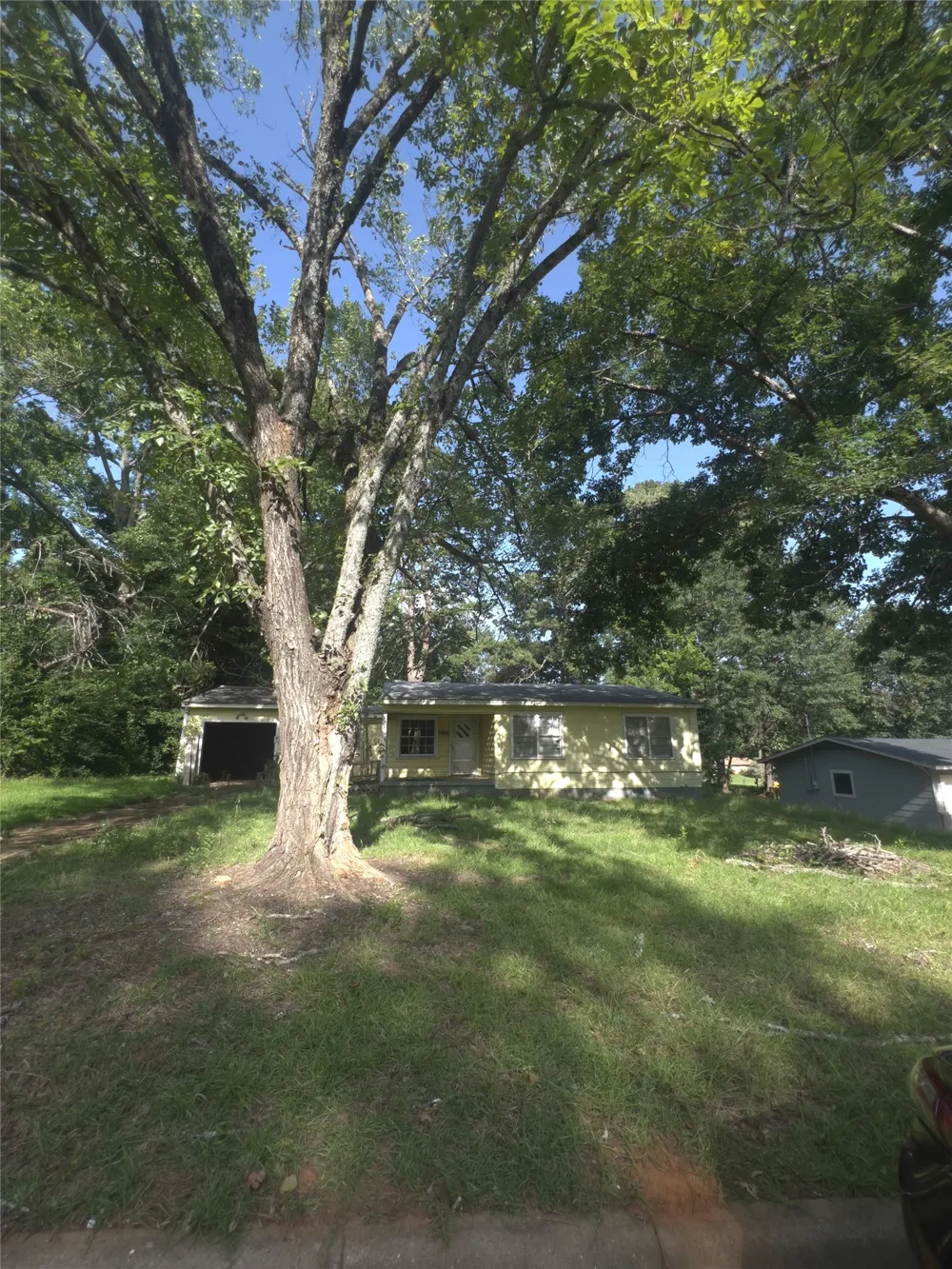 206 Wills Drive Daingerfield, TX 75638