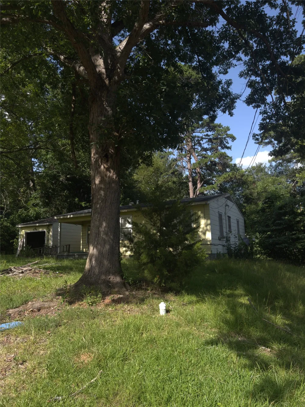 206 Wills Drive Daingerfield, TX 75638