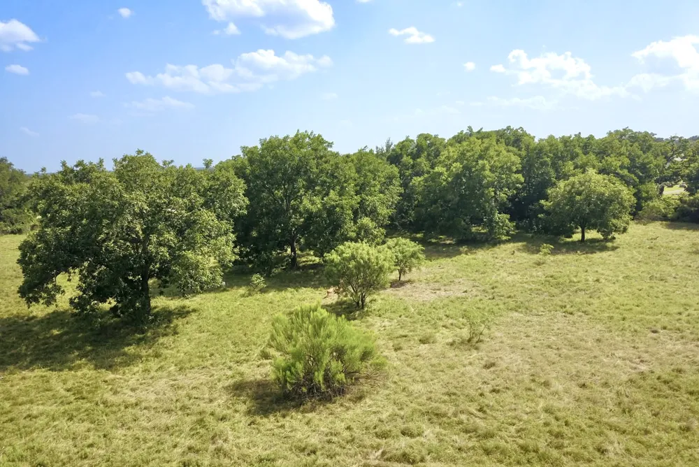 82 State Highway 16 S Goldthwaite, TX 76844