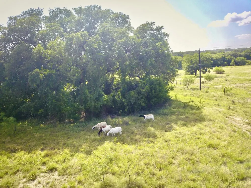 82 State Highway 16 S Goldthwaite, TX 76844