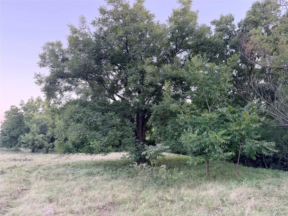 82 State Highway 16 S Goldthwaite, TX 76844