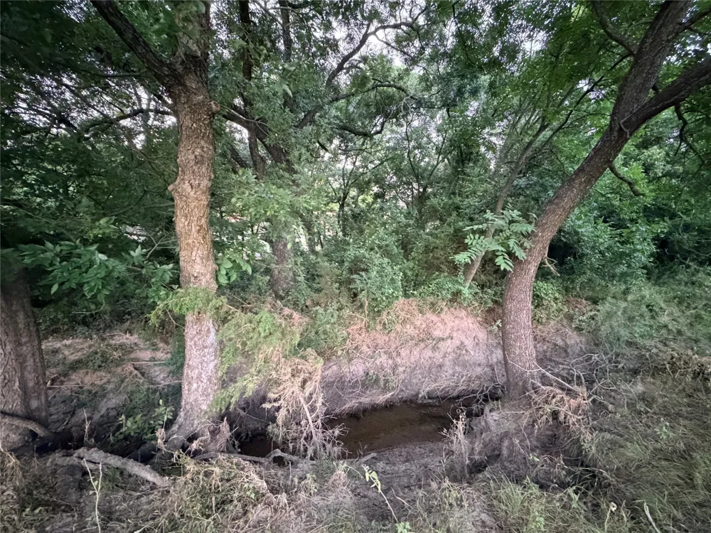 82 State Highway 16 S Goldthwaite, TX 76844