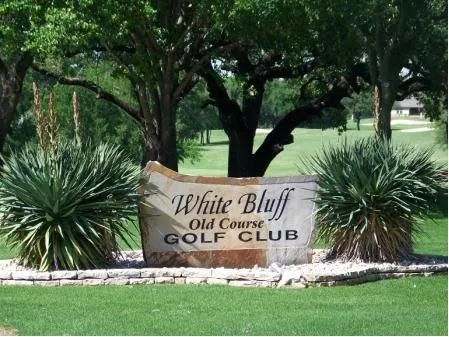 42178 Crooked Stick Drive Whitney, TX 76692