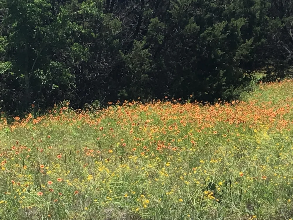 42178 Crooked Stick Drive Whitney, TX 76692
