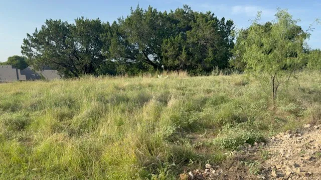 42178 Crooked Stick Drive Whitney, TX 76692