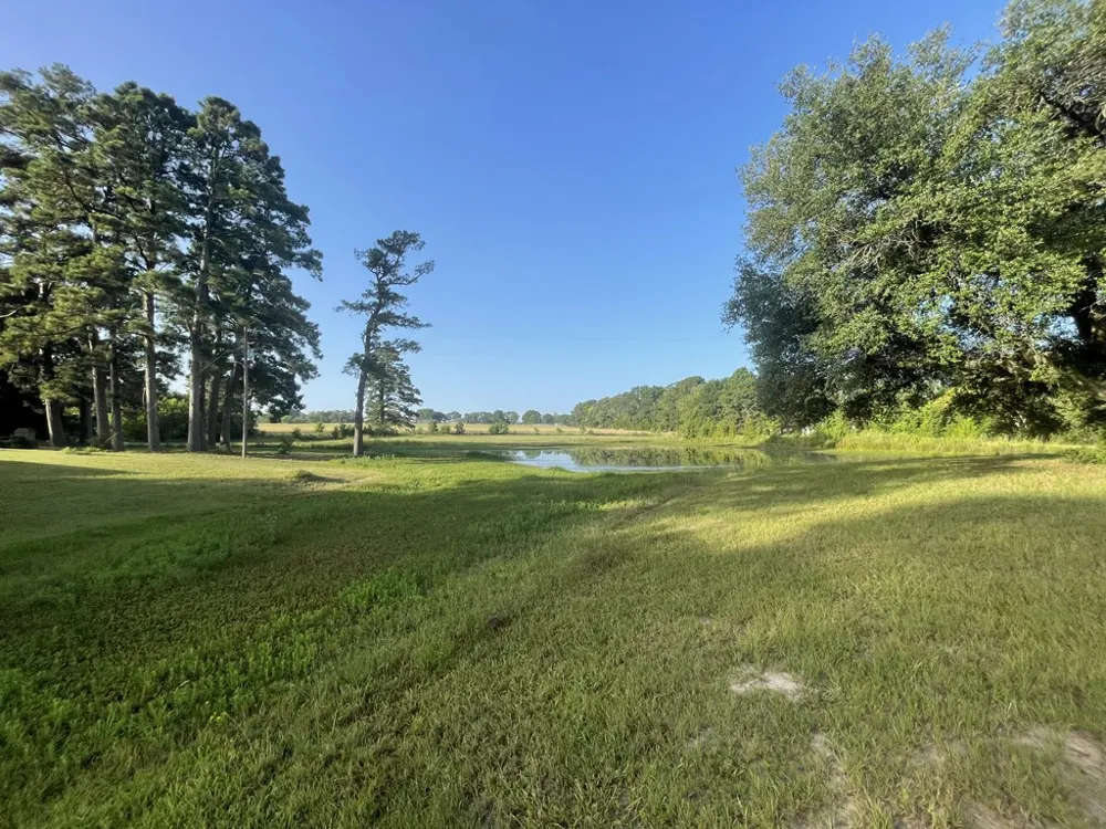 7470 FM 317 Athens, TX 75752
