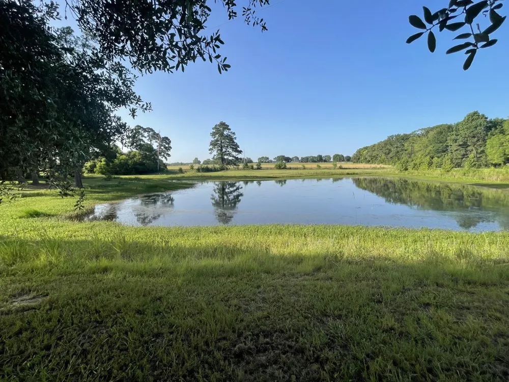 7470 FM 317 Athens, TX 75752