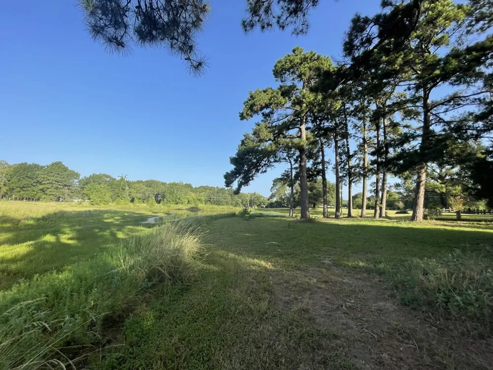 7470 FM 317 Athens, TX 75752