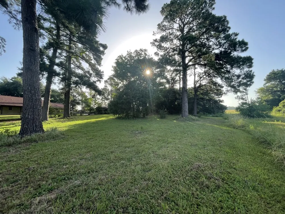 7470 FM 317 Athens, TX 75752