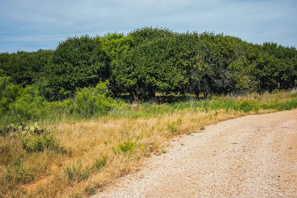 372 Buffalo Crest Trail Henrietta, TX 77575