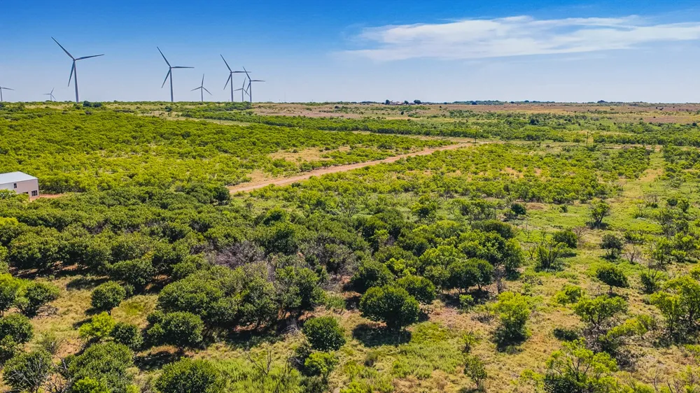 372 Buffalo Crest Trail Henrietta, TX 77575