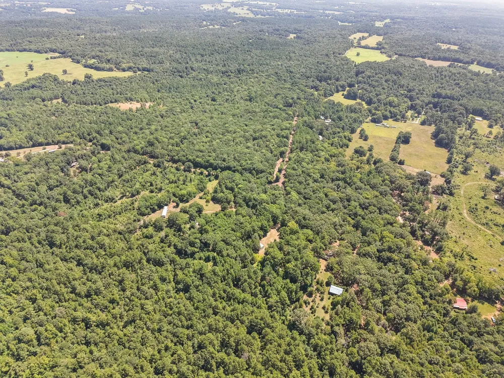 1684 An County Rd 441 Road Palestine, TX 75803