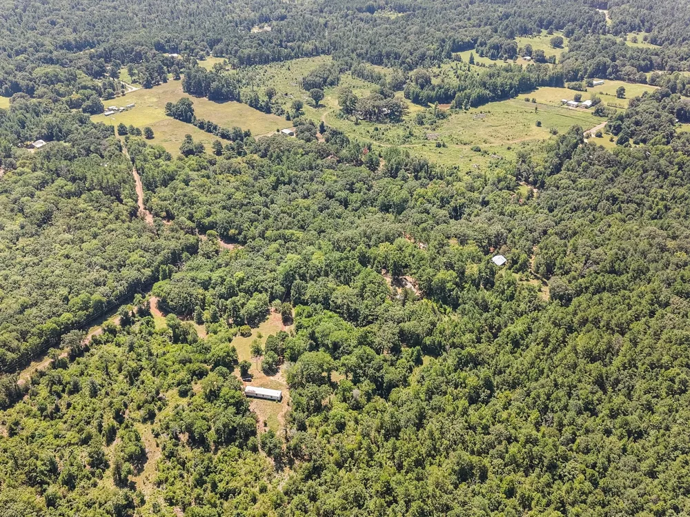 1684 An County Rd 441 Road Palestine, TX 75803