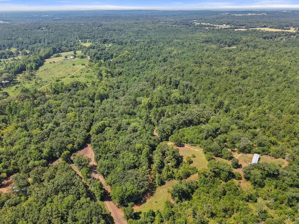1684 An County Rd 441 Road Palestine, TX 75803