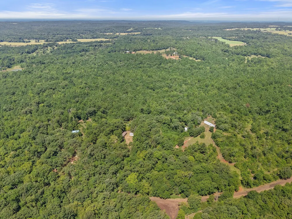 1684 An County Rd 441 Road Palestine, TX 75803