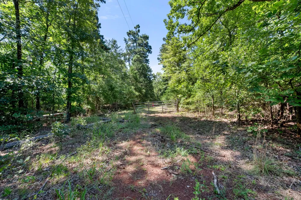1684 An County Rd 441 Road Palestine, TX 75803