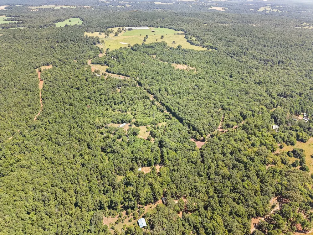 1684 An County Rd 441 Road Palestine, TX 75803