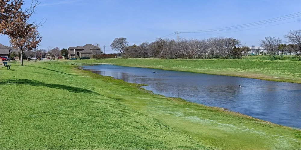 13160 Larks View Point Fort Worth, TX 76244