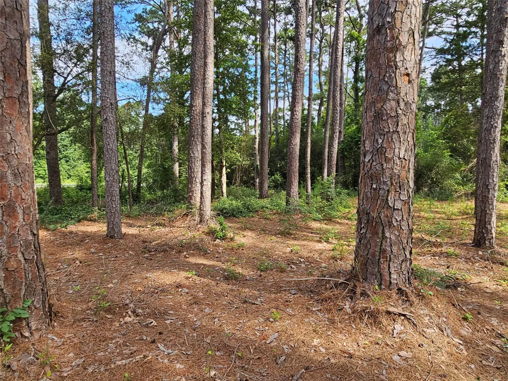 Green Meadow Trail (Lot 140) Holly Lake Ranch, TX 75765