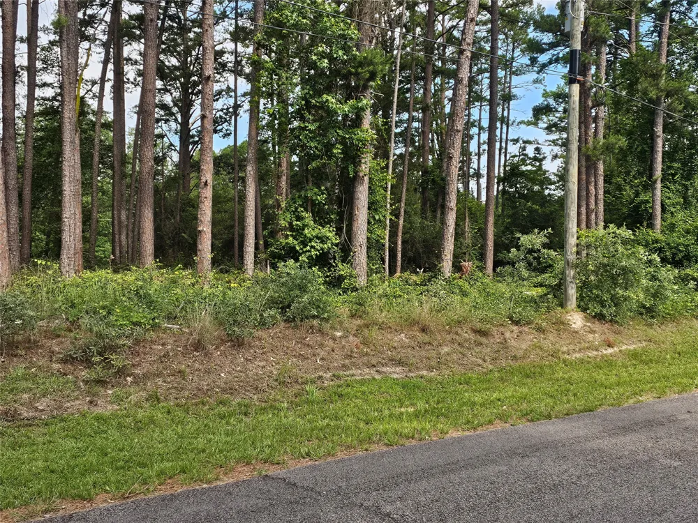 Green Meadow Trail (Lot 140) Holly Lake Ranch, TX 75765