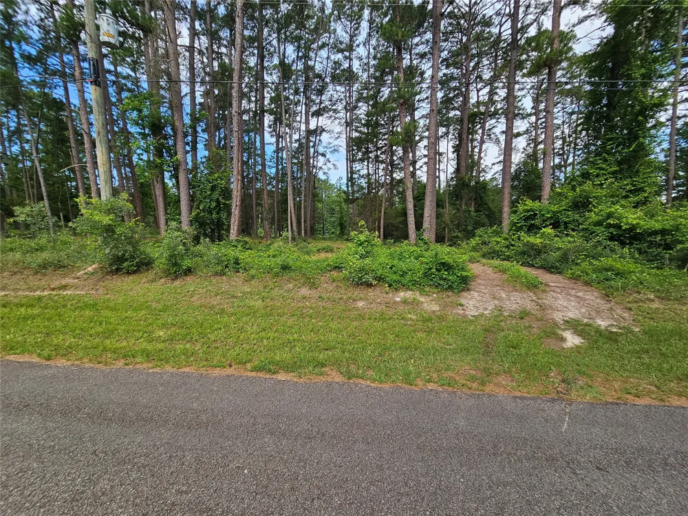 Green Meadow Trail (Lot 140) Holly Lake Ranch, TX 75765
