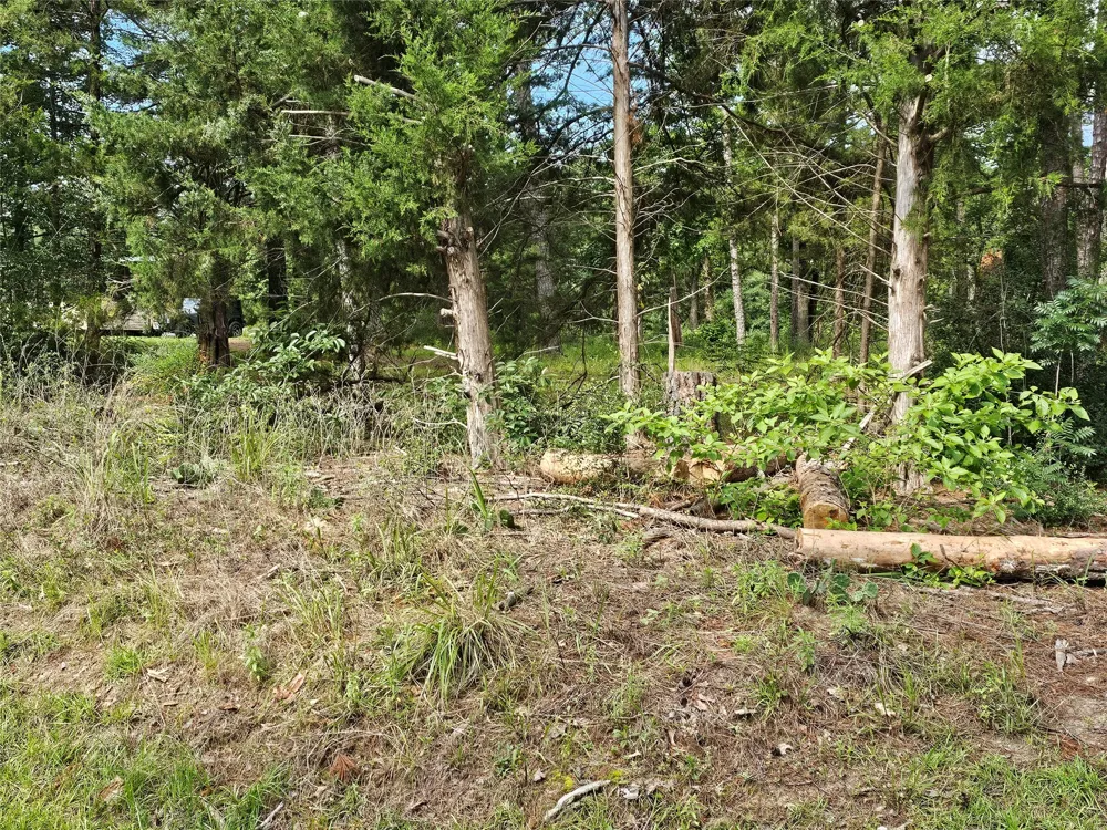 Green Meadow Trail (Lot 140) Holly Lake Ranch, TX 75765