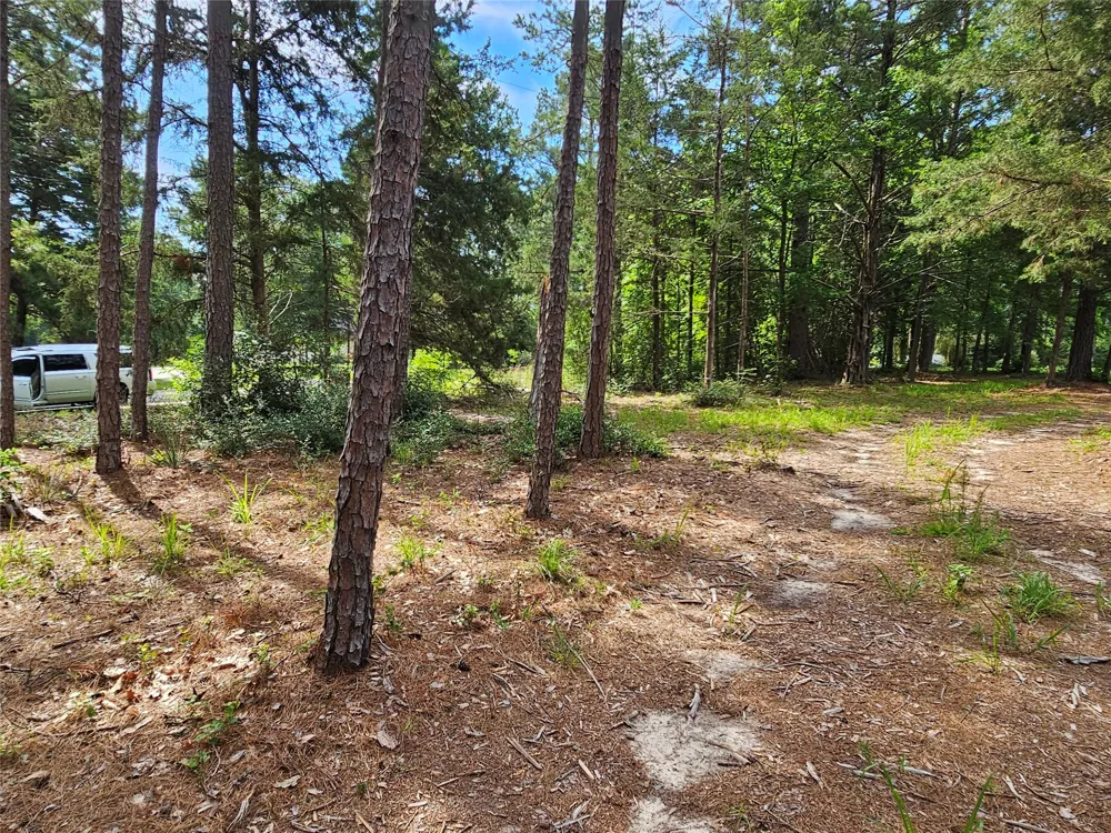 Green Meadow Trail (Lot 140) Holly Lake Ranch, TX 75765