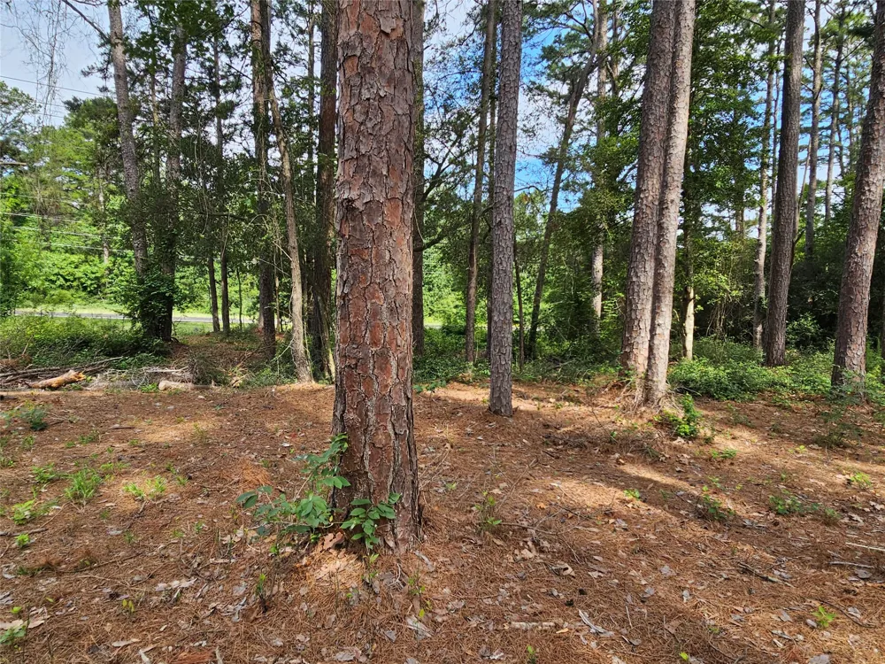 Green Meadow Trail (Lot 140) Holly Lake Ranch, TX 75765