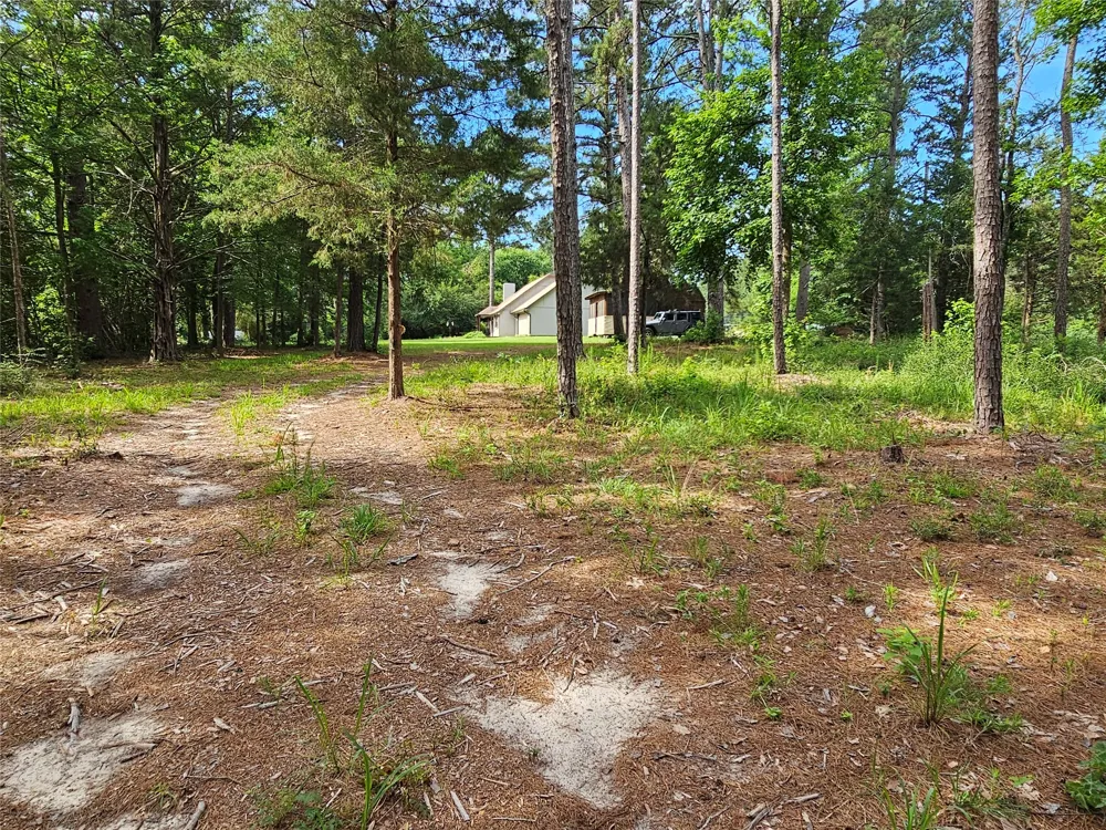 Green Meadow Trail (Lot 140) Holly Lake Ranch, TX 75765