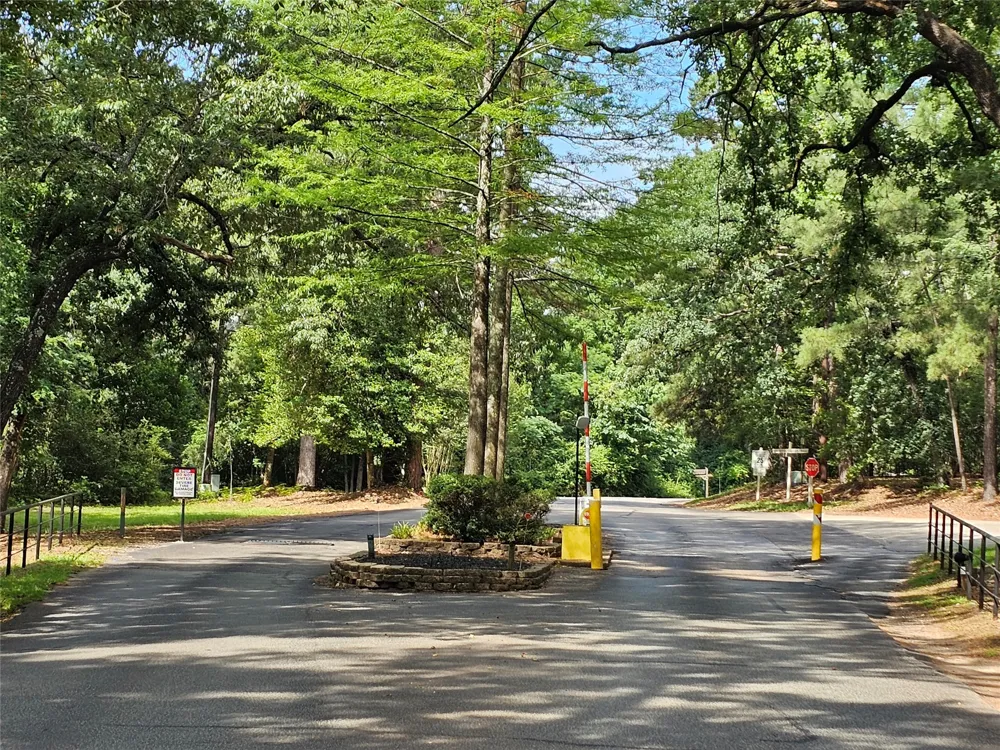 Green Meadow Trail (Lot 140) Holly Lake Ranch, TX 75765