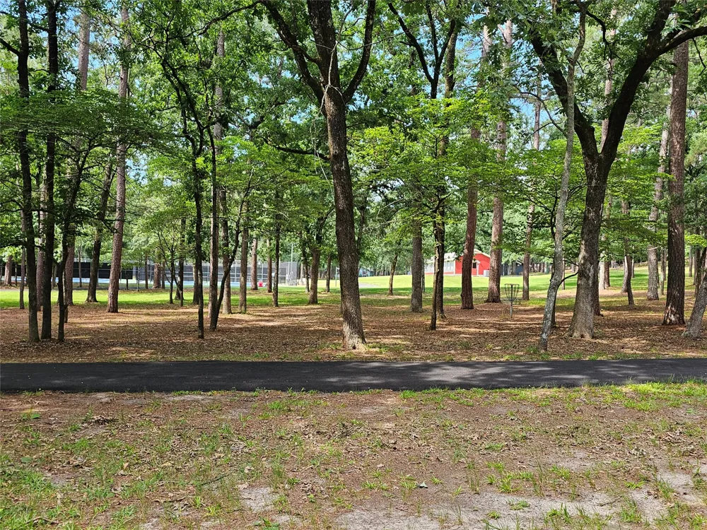 Green Meadow Trail (Lot 140) Holly Lake Ranch, TX 75765