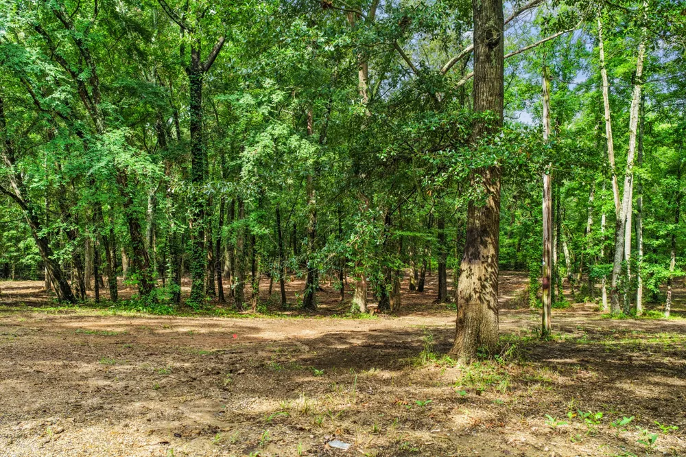 133 Sandy Lake Scroggins, TX 75480