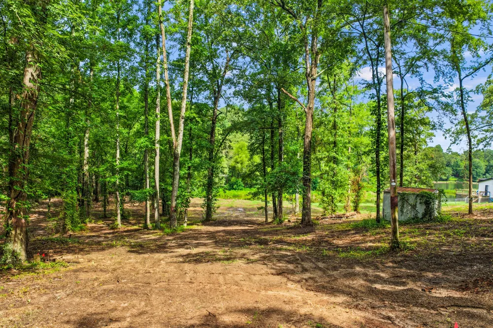 133 Sandy Lake Scroggins, TX 75480