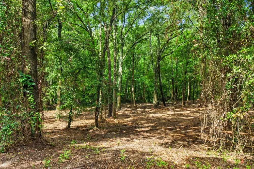 133 Sandy Lake Scroggins, TX 75480
