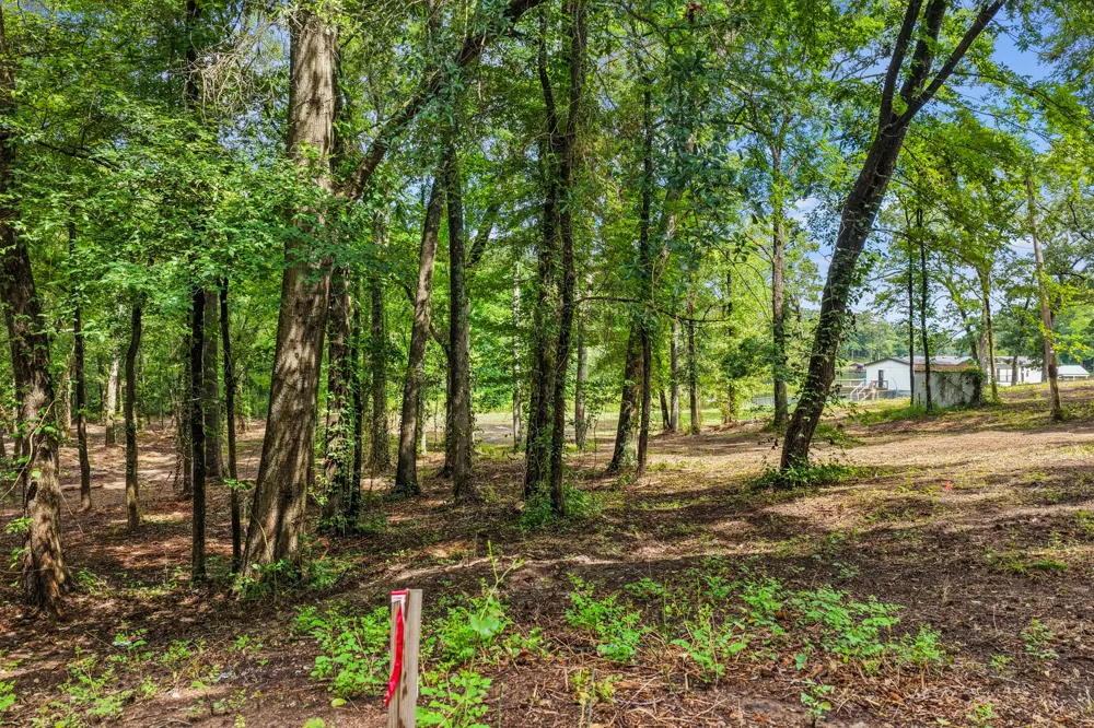 133 Sandy Lake Scroggins, TX 75480