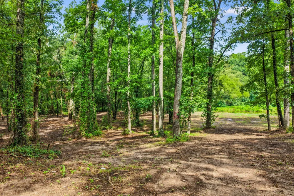 133 Sandy Lake Scroggins, TX 75480