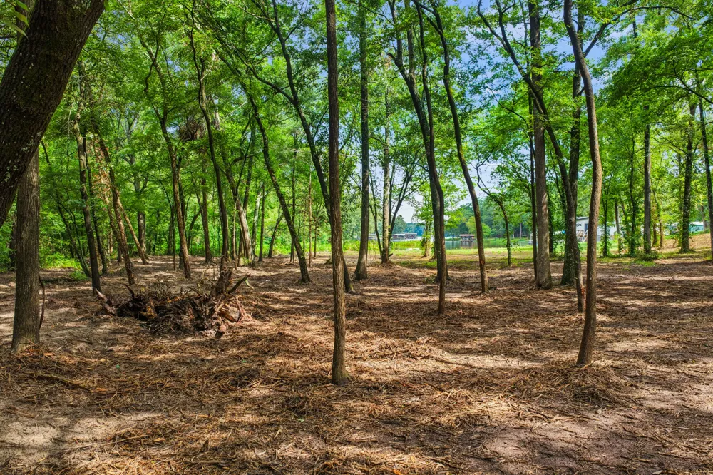 133 Sandy Lake Scroggins, TX 75480