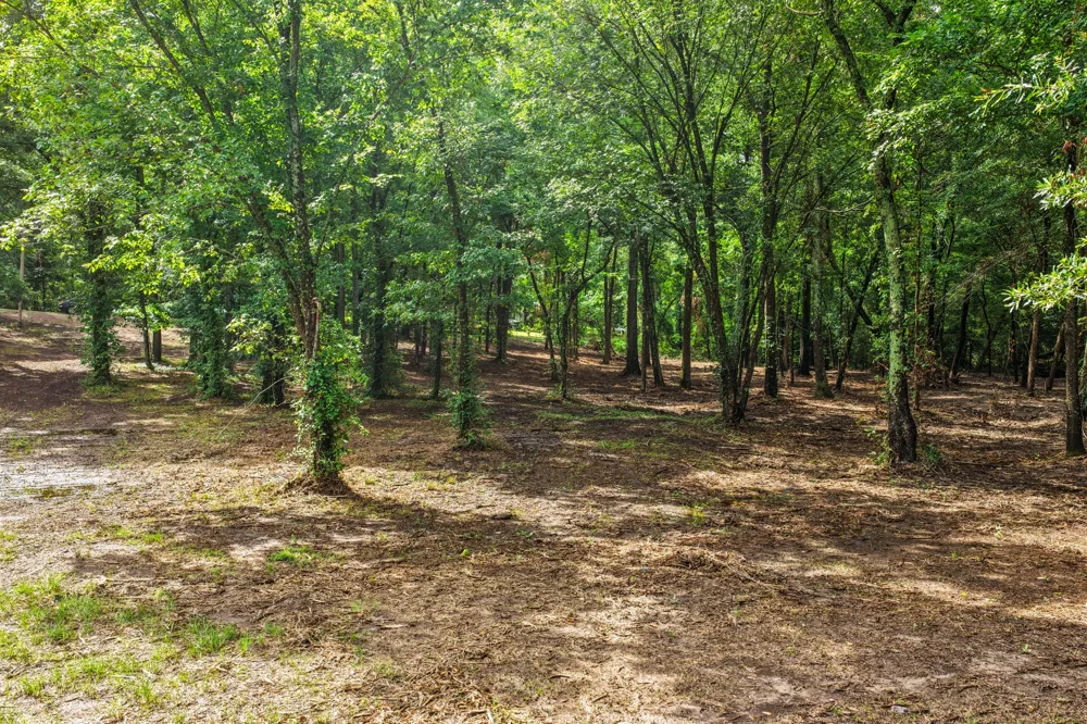 133 Sandy Lake Scroggins, TX 75480