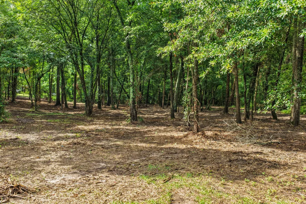 133 Sandy Lake Scroggins, TX 75480