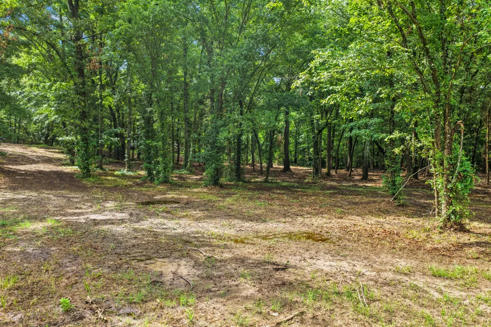 133 Sandy Lake Scroggins, TX 75480