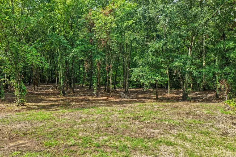 133 Sandy Lake Scroggins, TX 75480