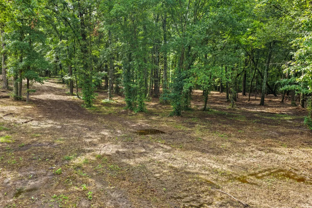 133 Sandy Lake Scroggins, TX 75480